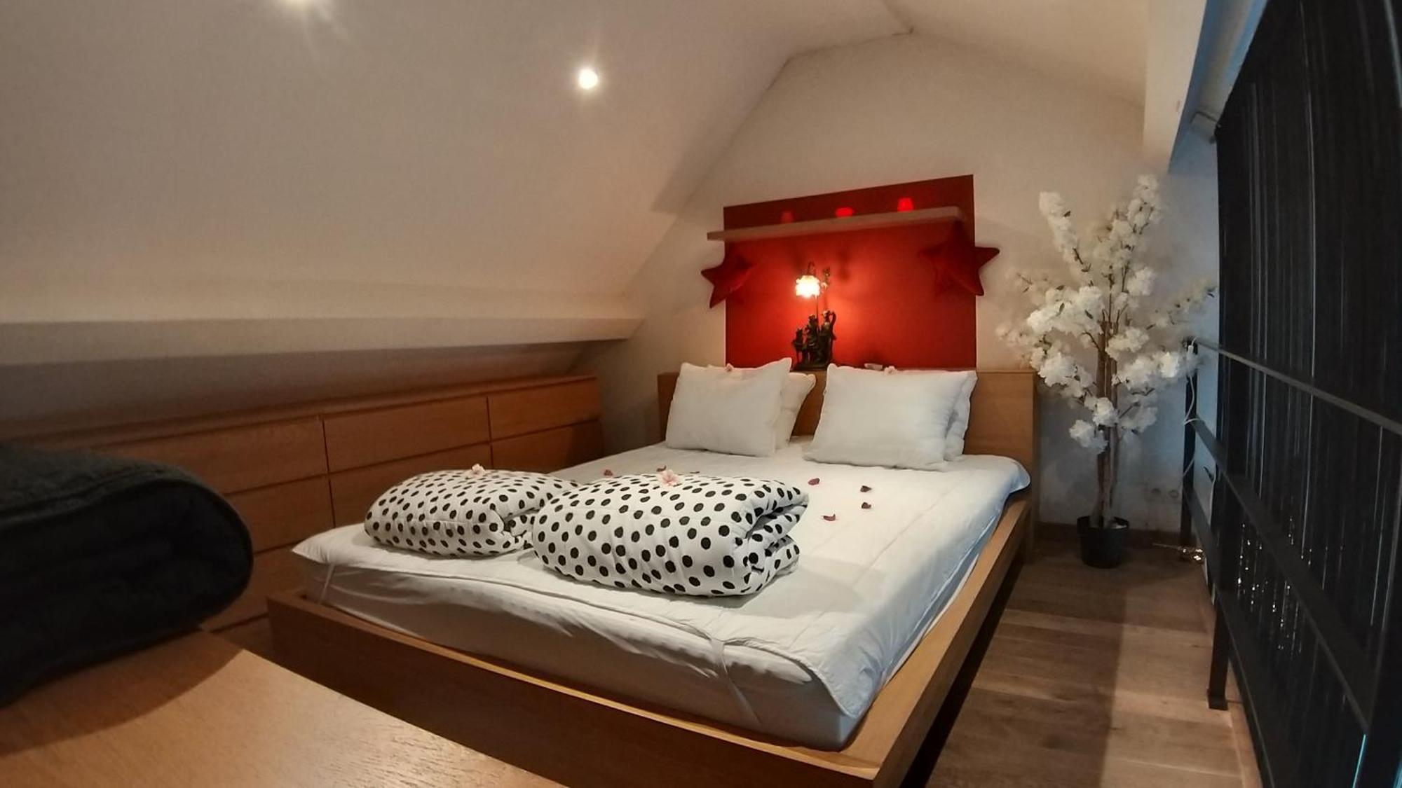 Apartamento Wellness Loft With Sauna, Jacuzzi, Roof Terrace & Amazing View Amberes Exterior foto